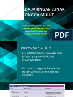 Lesi Rongga Mulut