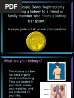 SAGES Donor Nephrectomy