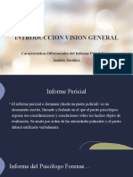 INTRODUCCION VISION GENERAL