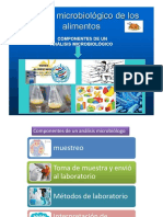 indicadores 1 2019.pdf