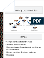 8 Heterosis y Cruzamiento