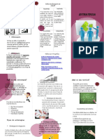 Triptico 3 PDF