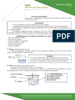 07 CALDA VIÇOSA.pdf