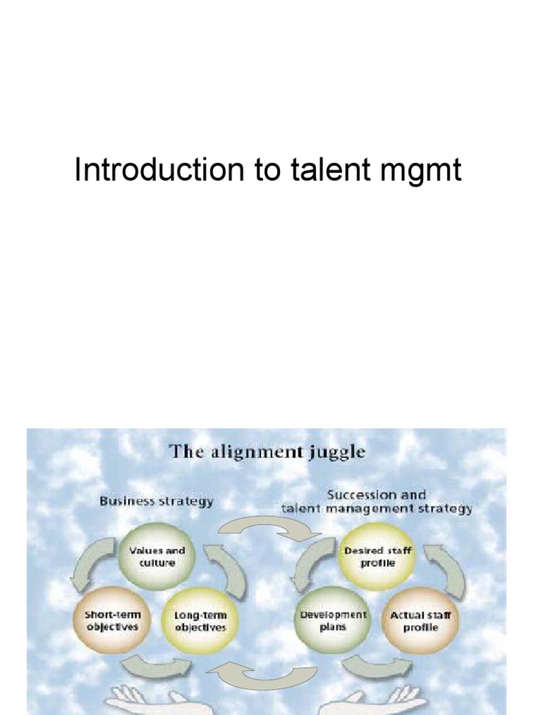 Talent Management & Organizational Excellence | PDF | Business