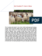 Daf Ditty Pesachim 57: Goats Vs Sheep