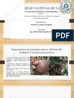 Determinación de Principios Activos Del Fruto Del Ayahuma - Francisco Lancha Chuquilin