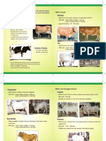 Different Breeds.pdf
