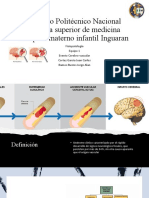 enfermedad vascular cerebral fisiopato