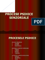 Procesele Psihice Senzoriale