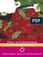 ErdbeerKulturanleitung2009 (1)