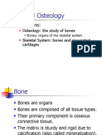 General Osteology: Definitions