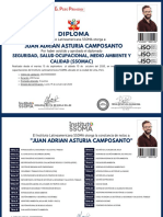 Modelo Diploma 2021