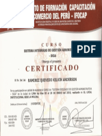 SIGA.pdf