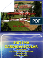 CARDIOVASCULAR APARATO2