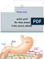 Ana. D. Alaa L3 Pancreas