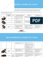 Developmental Stages of A Dog: Development Stage Age Learning & Development What To Do Veterinary Care