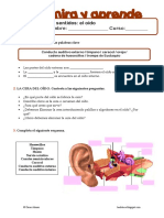 Los Sentidos - El Oído