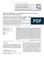 Deteccion of Helicobacter y Campilobacter en Mamiferos Marinos