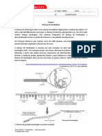 Ficha de Trabalho  Unidades 2 e 3 DOC.docx