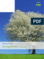 Die Vogelkirsche PDF