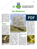 Die Wildbirne PDF