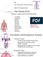 Systems of The Human Body: Organization