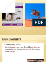 Penyakit Chikungunya