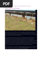 YAP Proposal #20: "Village Chicken Integrated Farm" (Sabriino Clair, Mauritius)