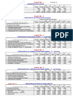 Presupuesto Solución Práctica PDF