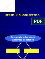 Sepsis Y Shock Septico