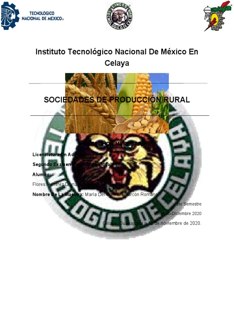 Sociedades Rurales Completo | PDF | Sociedad | Agricultura