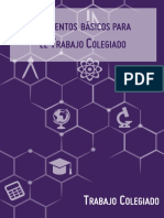 Elementos básicos para el Trabajo Colegiado.pdf