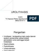 T9 UROLITHIASIS