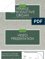 Female Repro PDF