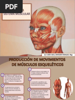 Clase 11 - Fisiología