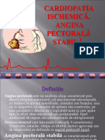 Cardiopatia_ischemica-13701.pdf