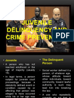 Juvenile Delinquency and Crime Prevention
