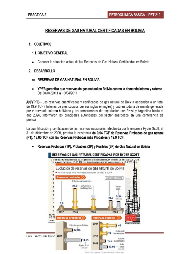 Reservas de Gas Natural en Bolivia | PDF | Petróleo | Bolivia