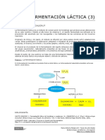 Fermentación láctica del repollo