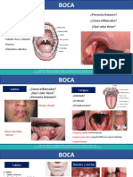 Examen Clínico Cavidad Oral y Farínge