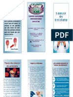 FOLLETO CANCER DE PROSTATA.pdf