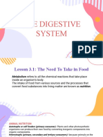 Digestive System