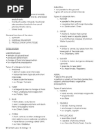 Functions of Buds in Plants | PDF | Plant Stem | Leaf