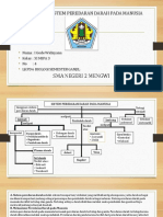 Peta Konsep Sistem Peredaran Darah Pada Manusia - I Gede Widnyana - 04 - Xi Mipa 3 PDF