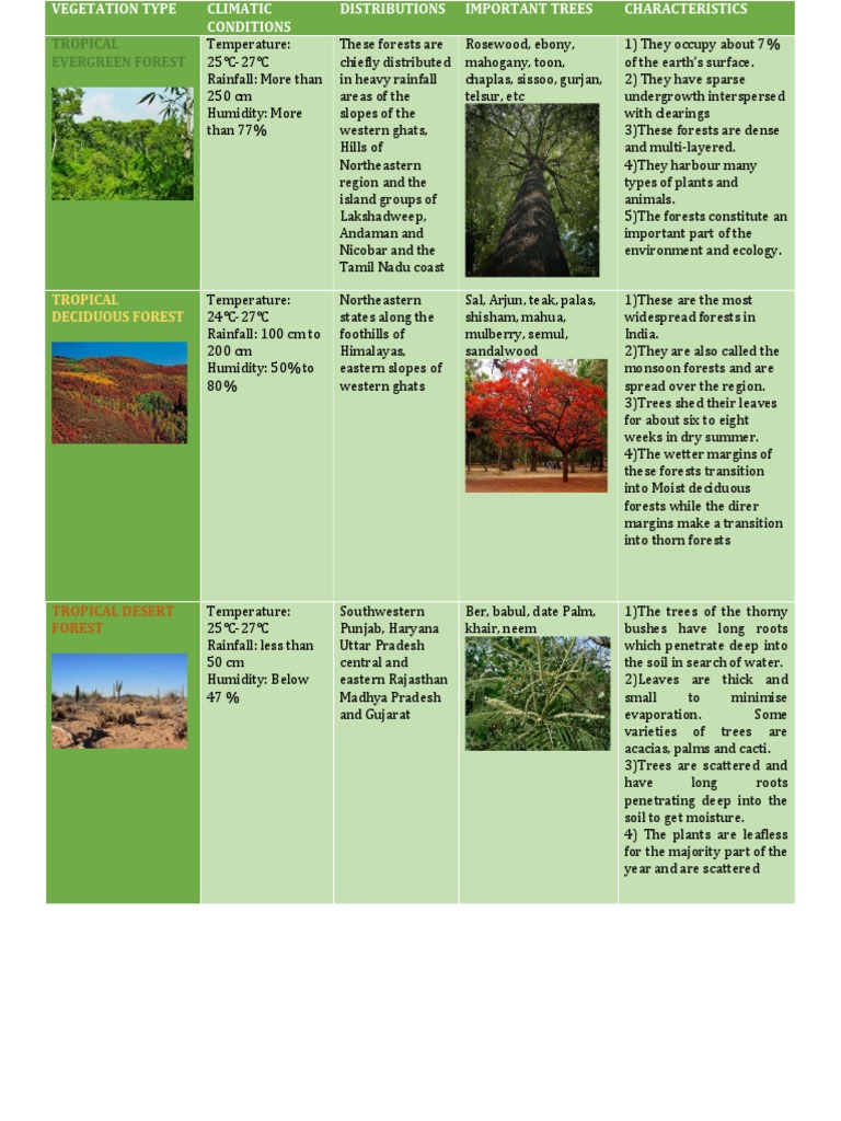 Tropical Deciduous Forest | PDF | Forests | Tropics