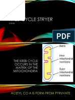 Kreb-Cycle-Stryer