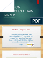 ELECTRON-TRANSPORT-CHAIN-STRYER