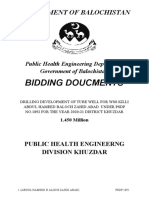 Bidding Doucments: Government of Balochistan