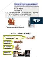 Sensoriomotor_I.pdf