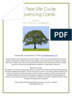 Oak Tree Life Cycle Sequencing Cards: Science Pre-K, Preschool, Kindergarten